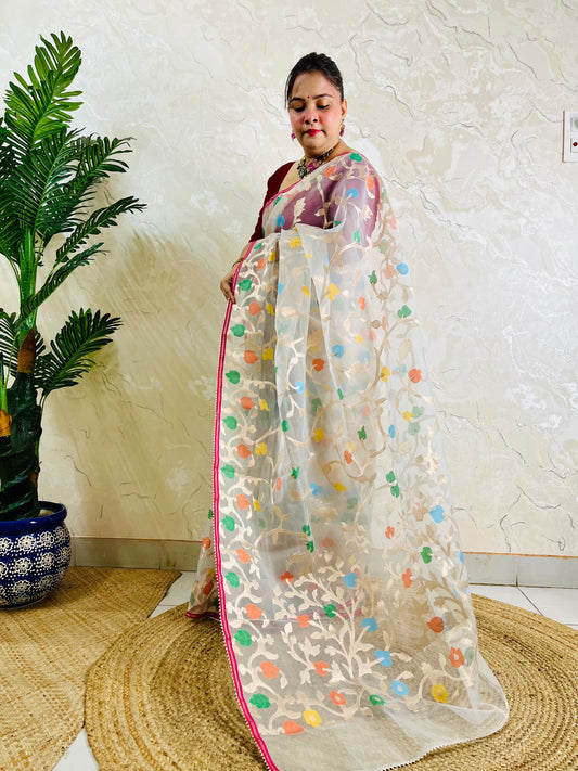A woman models a white organza saree with colorful floral embroidery and a pink border, standing in a room with a textured beige wall, a potted plant, and a woven mat.