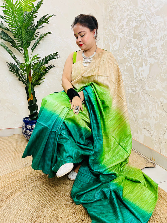 Traditional Saree Look in Pure Ghicha Silk