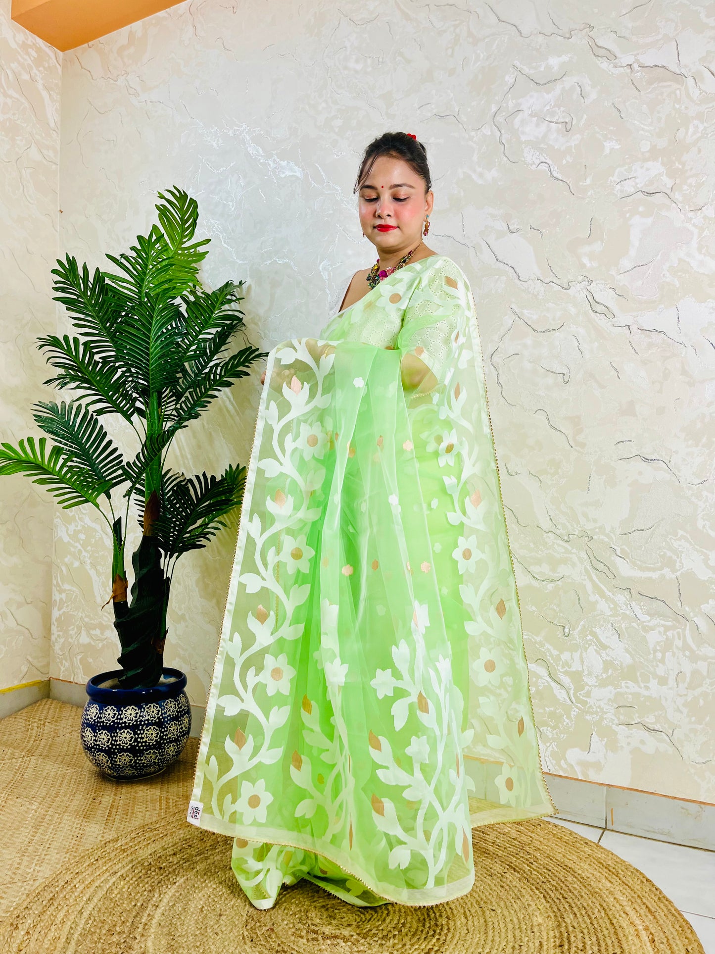 A woman wearing a light green saree with white floral embroidery and small peach-colored flower accents, standing in an indoor setting with a potted plant and textured wall in the background.
