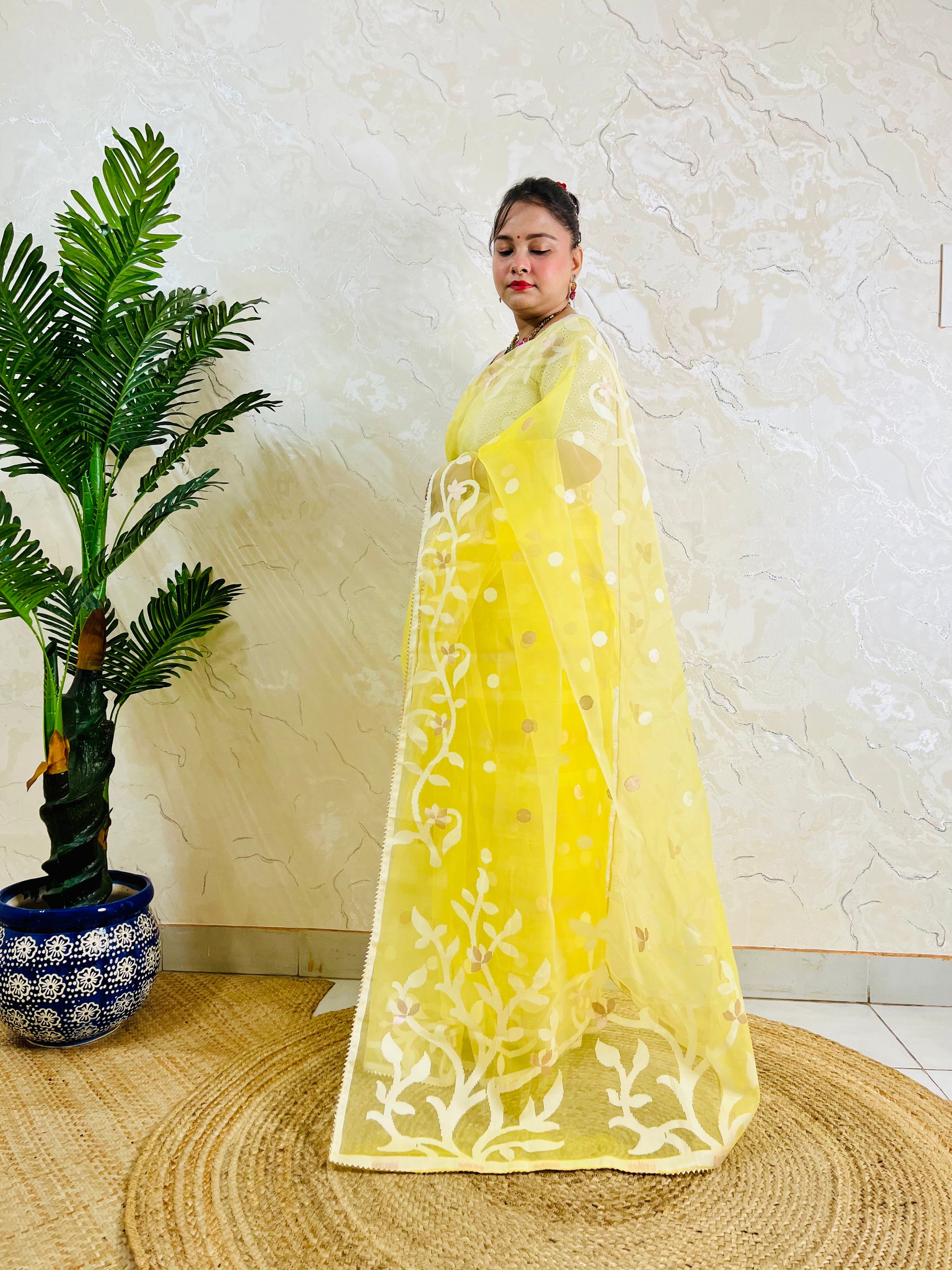 Resham Silk Muslin Saree with Jamdani handloom weave by Desi Aadat