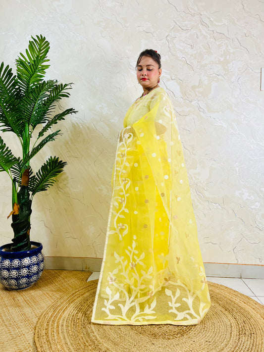 Resham Silk Muslin Saree with Jamdani handloom weave by Desi Aadat