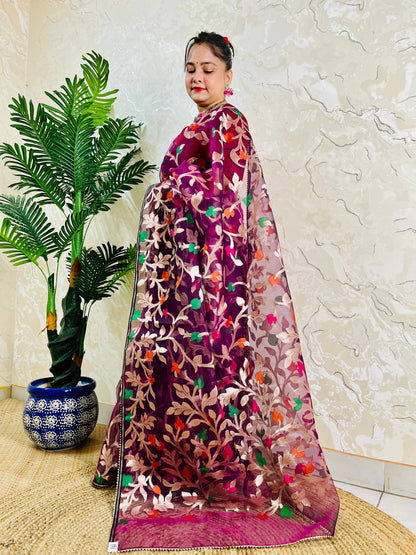 A woman models a traditional Indian saree with a deep magenta-purple base and intricate multicolor floral embroidery, standing next to a potted green plant against a textured beige wall.