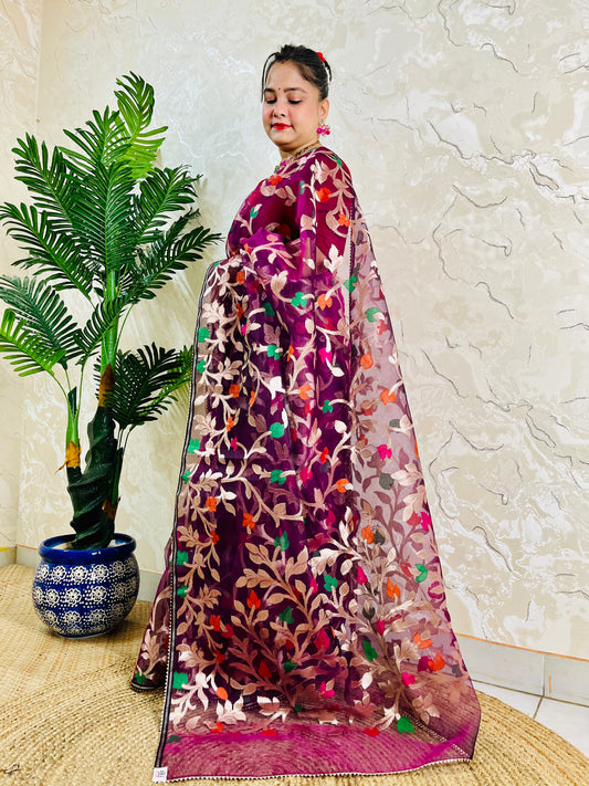 A woman models a traditional Indian saree with a deep magenta-purple base and intricate multicolor floral embroidery, standing next to a potted green plant against a textured beige wall.