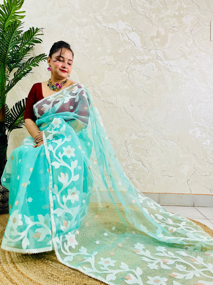 A woman wearing a light turquoise blue saree with white floral embroidery and a dark red blouse, standing in front of a textured beige wall with a green plant on the left.
