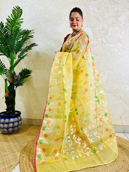 A woman wearing a sheer yellow saree with colorful embroidered motifs and a red border, standing indoors next to a potted plant.