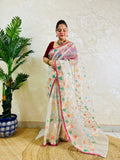 A woman wearing a semi-sheer white saree with colorful floral patterns and a red blouse, standing in front of a textured cream wall next to a potted green plant.