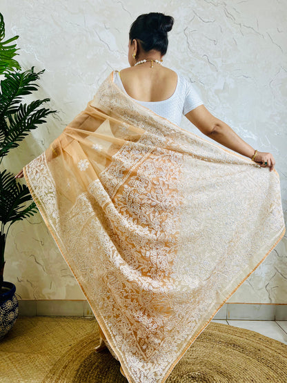 Pastel peach orange Chikankari handstitched organza silk saree with full white jaal and floral embroidery — side standing view, Desi Aadat