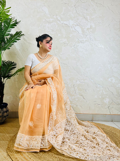 Handmade Lucknowi Chikankari pastel peach orange pure organza silk saree with dense white jaal embroidery — sitting drape view, Desi Aadat