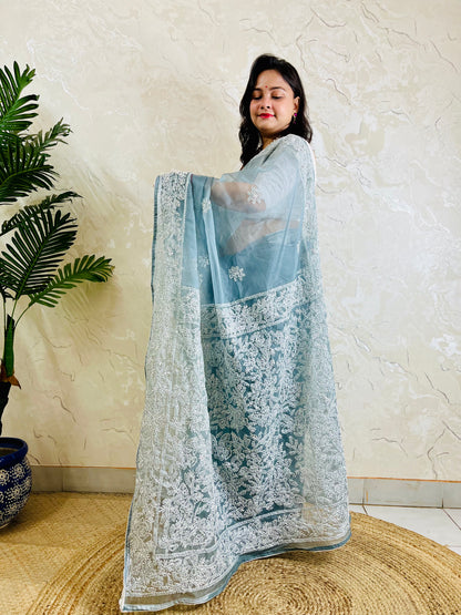 Pastel powder blue Chikankari handstitched organza silk saree with full white jaal embroidery displayed on standing model — pallu view, Desi Aadat