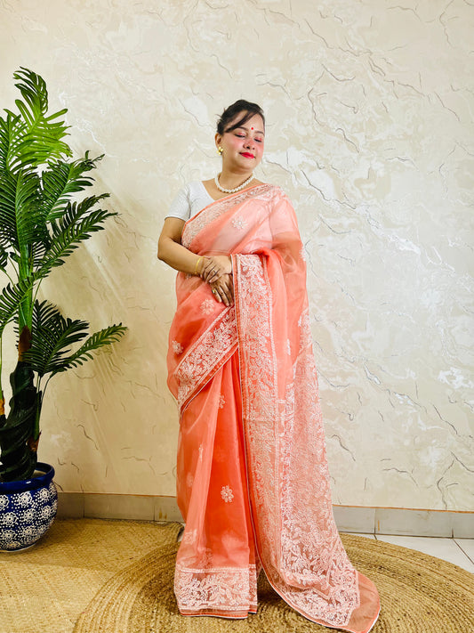 Pastel coral peach Chikankari handstitched organza silk saree with dense blush jaal embroidery — standing front view, Desi Aadat
